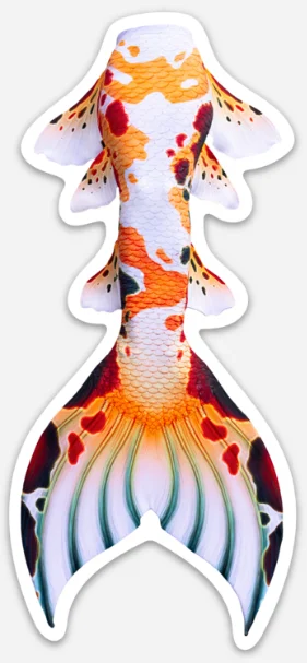 High-quality Styles Classic Koi Signature Tail Sticker