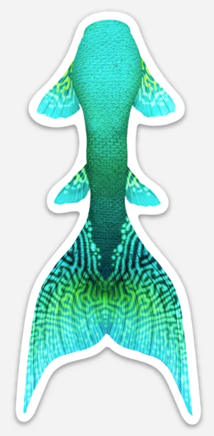 Summer Selection Humphead Wrasse Signature Tail Sticker